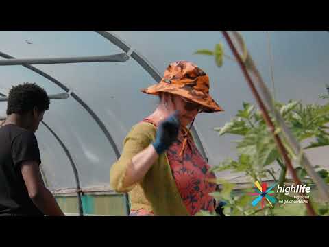 YouTube Video Preview