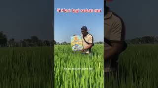 Download lagu 5Hari Lagi Jambore Tani dari DGW #dgw #pemudapetani #jamboretani2023 mp3
