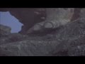 Kaiju Dinosaur Stomp 42 HD 720p
