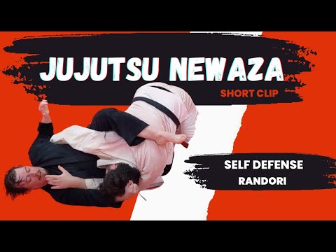Newaza with Atemi • Self Defense Randori || JUKIDO JUJUTSU (jiu-jitsu / jujitsu)