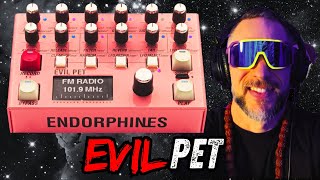 Video thumbnail for It Glitches, It Grains, Its an FM Radio Endorphin.es Evil Pet is a Beast | THAT SYNTH SHOW LIVE by SYNTH SAMURAI