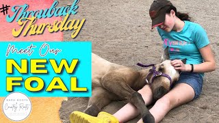 #THROWBACKTHURSDAY: MEET OUR NEW FOAL! | VLOG