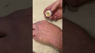 KOHLER K-1068204 tub stopper not opening and closing FIX
