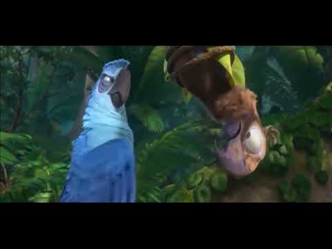 Rio 2 - jungle survival training