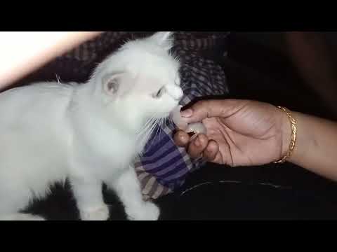 November 17, 2023(2)