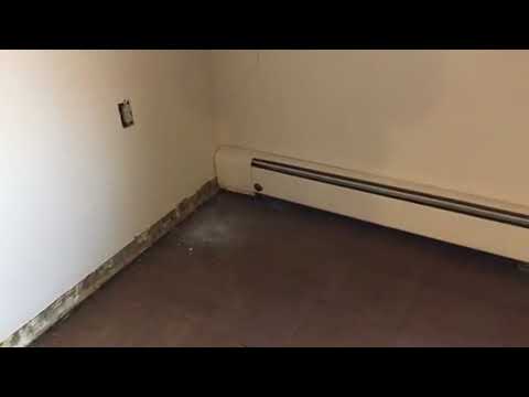 Tenants leave bed bugs behind in Matawan, NJ apartment