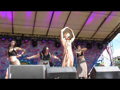 Hayley Jane and The Primates   "I Can Do It (Poo Jam)"