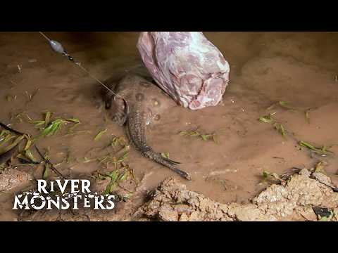 Unique Slow Motion Footage of a Deadly STINGRAY ATTACK | River Monsters