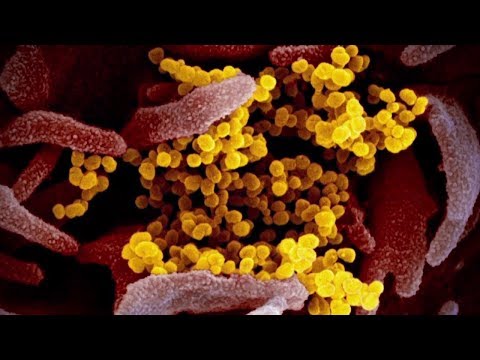 NJ Coronavirus Latest