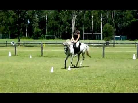 Beautiful Belle for sale