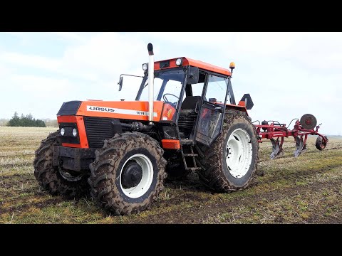 Ursus 1614 Tractor Plowing