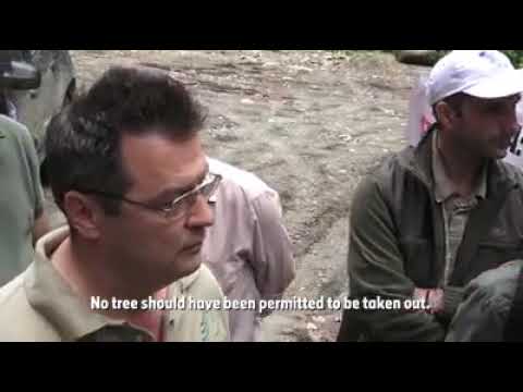 Parcul National Domogled   Valea Cernei