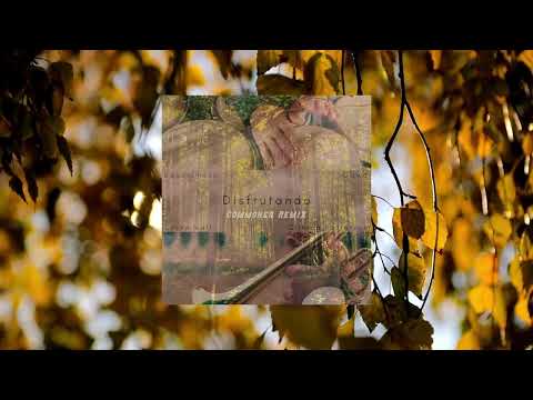 Equanimous, Oliwa - Disfrutando (Commoner Remix)