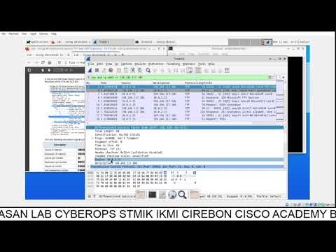 10 4 3 Lab   Using Wireshark to Examine TCP and UDP Captures