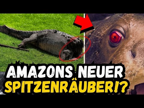 🚨 SCHOCKIEREND: Der SCHLIMMSTE ALBTRAUM des Schwarzen Kaimans endlich auf Kamera festgehalten!!