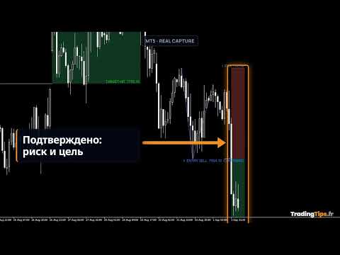 Video Double Top Bottom Head and Shoulders Levels MT5