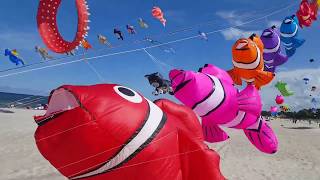 Download lagu Another day in paradise. Poland, Leba kite festival 2018 mp3 Download lagu Another day in paradise. Poland, Leba kite festival 2018 mp3