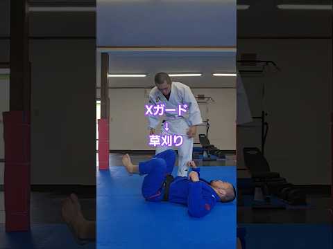 #Xガード #草刈り #ブラジリアン柔術 #bjj #jiujitsu #北海道 #北見市