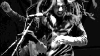 The Wailers- Hallelujah Time