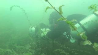 preview picture of video 'Canon G1X Mark II Unterwasser Diving Sidemount Attersee Kohlbauernaufsatz'