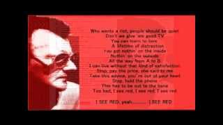 Gerry Rafferty - I See Red ( + lyrics 1992)
