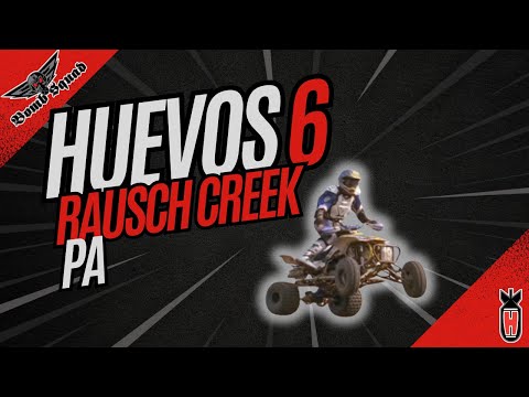 Huevos 6 RAUSCH CREEK PA