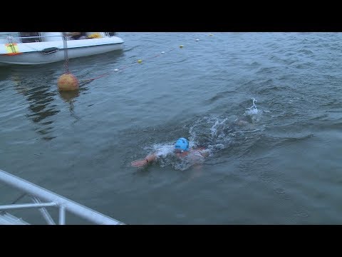 Heerjansdam gastheer ONK open water zwemmen: 'Cadeautje van de zwembond'