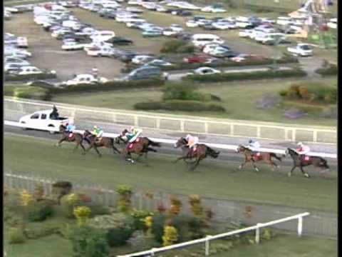 Disa leader wins the barbe cup