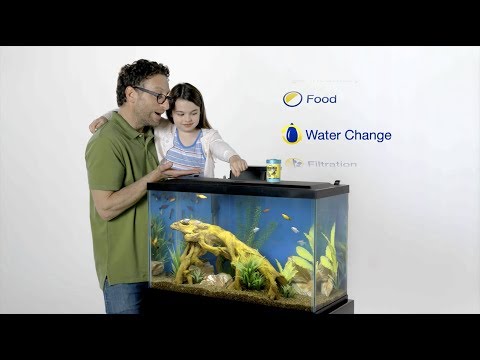 Tetra® - Customer Sucess Story (JOHN FOX - DIVISION VICE PRESIDENT)