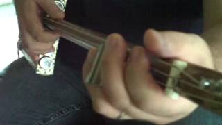 Baritone slide guitar ideas - How to Play Cigar Box Guitar by Shane Speal