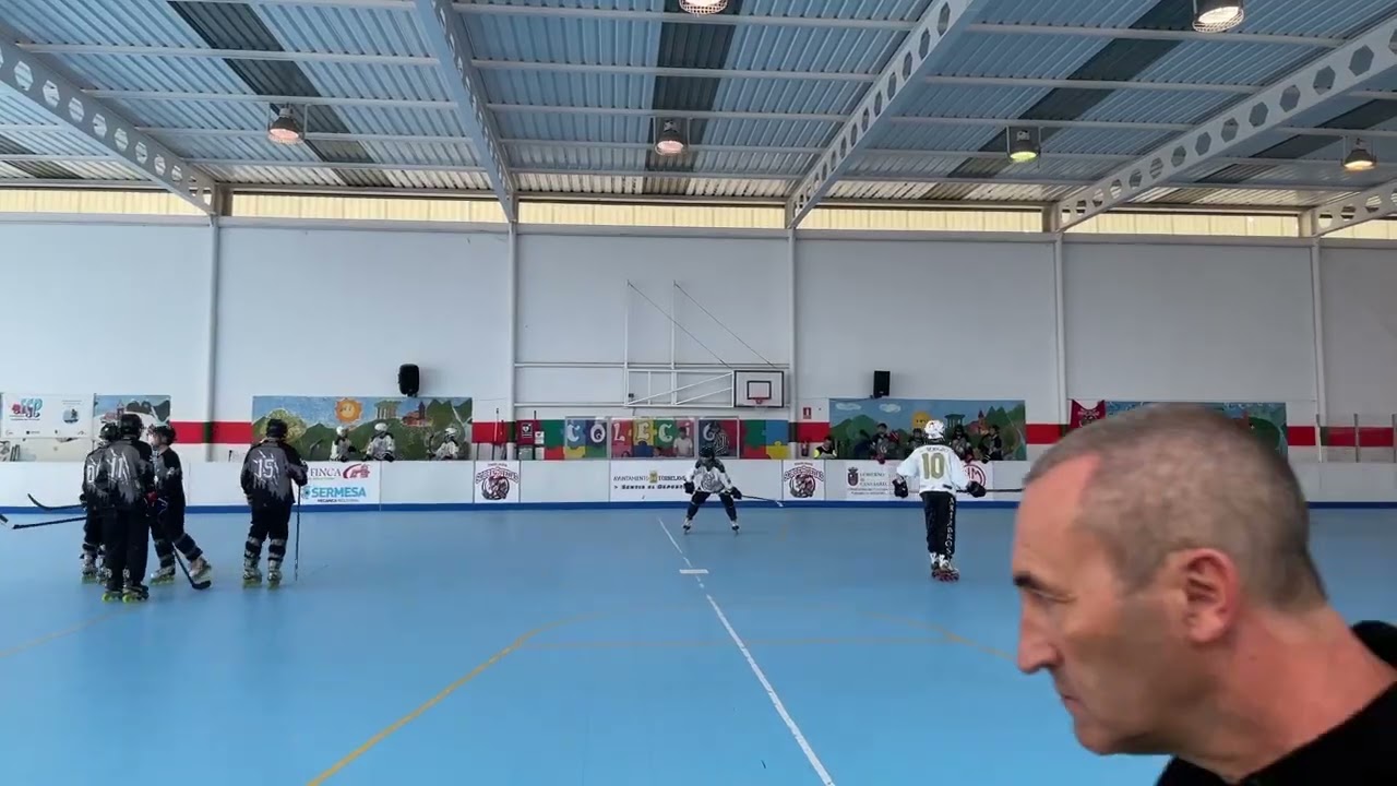 Ver vídeo del partido