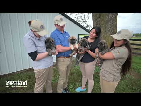 Kennel Tour 147