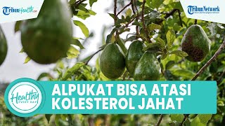 Khasiat Konsumsi Alpukat Bisa Atasi Kolesterol Jahat dalam Tubuh, Begini Cara Tepat Mengonsumsinya