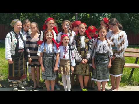 ZIUA EROILOR 2016 -  SATUL PLESESTI - COMUNA VULTURESTI - JUDETUL SUCEAVA