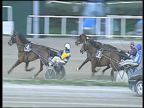 Trotto 20/03/2016 - 7° corsa