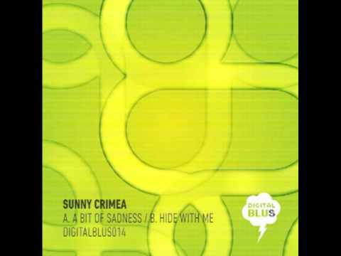 SUNNY CRIMEA - A BIT OF A SADNESS ( DIGITAL BLUS 014 ) - OUT NOW!!!!!