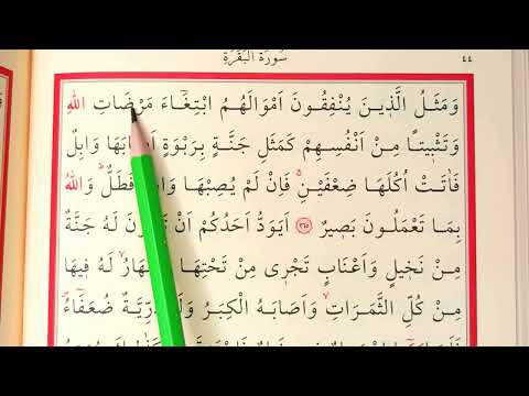 43 - 44. SAYFALAR HER GÜN 2 SAYFA  KURANA YENİ BAŞLAYANLAR İÇİN TECVİDLİ YAVAŞ HATİM MUKABELE CÜZ 3