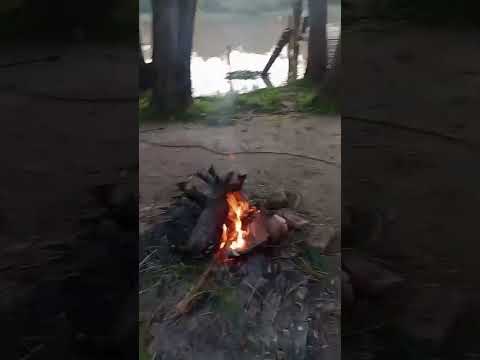 Arroyo Brazo Largo , Villa Paranacito #pesca