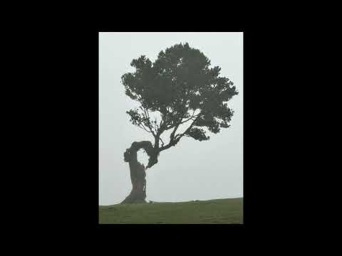 M Holm - Field Dub 04