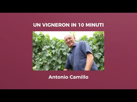 Un Vigneron in 10 minuti: Antonio Camillo