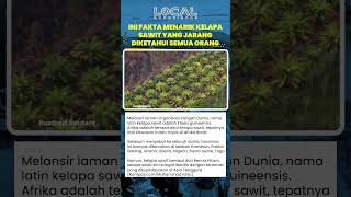 Kelapa Sawit Tanaman Asli Afrika yang Kini Identik dengan Asia Tenggara
