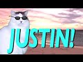 HAPPY BIRTHDAY JUSTIN EPIC CAT Happy Birthday Song