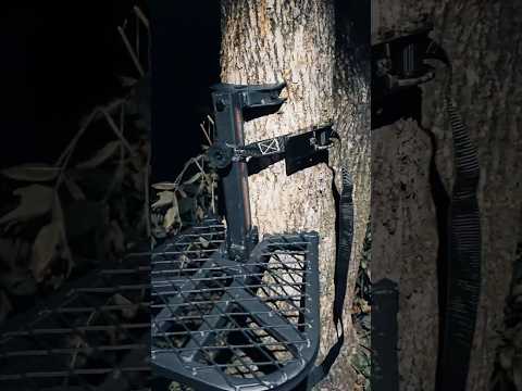 40 Dollar Saddle Platform You Can Leave Overnight #hunting #gear