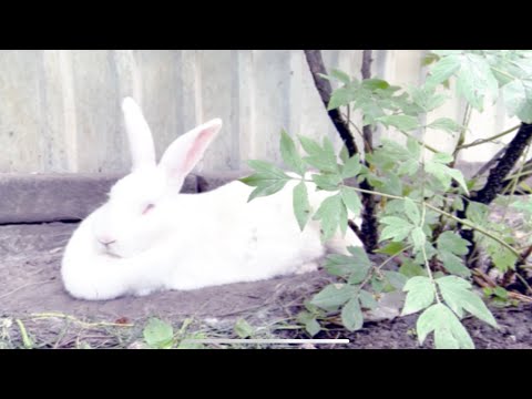 СТРУКТУРА ЩАСТЯ - ДРУГ