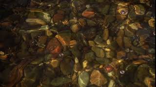 Rocks in a Pool of Water River Ocean Slow Motion HD Video Loop Background Scene