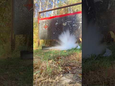 .223 ENOUGH FOR DEER?! 223 Remington Hornady American Whitetail 60gr Ammo Test