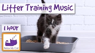 Litter Training Cat Music! Music to Help Cats During Toilet Training.