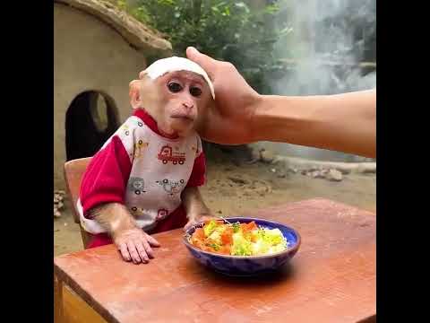 So sad! Dad made soup for monkey Annie when she was sick! _ Mini cooking