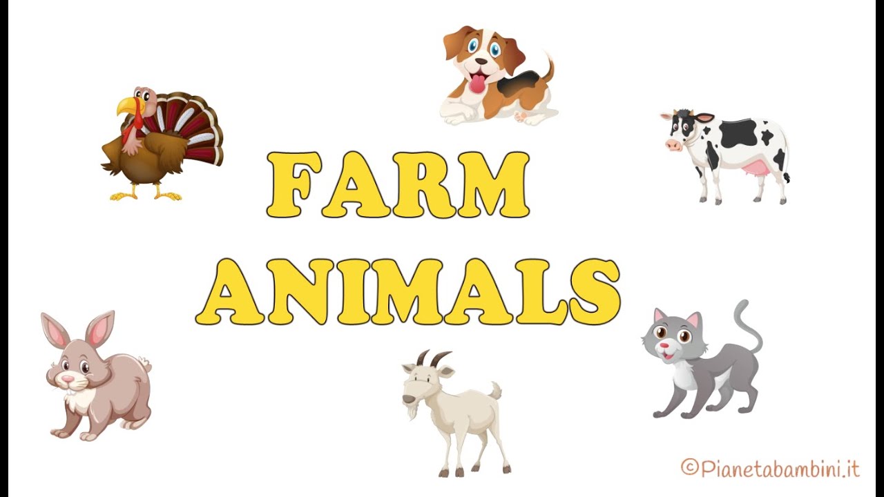 Animali della fattoria in inglese | Farm Animals in English