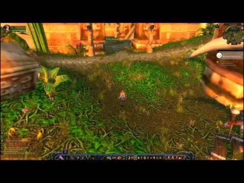Plunging Into Zul'Gurub Quest - World of Warcraft